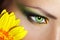 Beautiful Eye Makeup with gerber flower