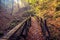 Beautiful, fabulous autumn landscape with tree bridge