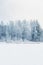 Beautiful fabulous snowy winter coniferous forest