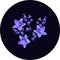 Beautiful fairy bellflowers on black circle background. Composition with violet flowers