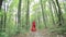 Beautiful Fairy Tale Girl Running In Woods