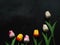 Beautiful fake tulips on black background for copy space.