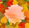 Beautiful fall. Amazing colorful leaves autumn frame. Tender warm orange sunset.