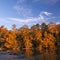 Beautiful fall colors forest