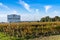 Beautiful fall colors in the vineyards of the Chateau Grand Puy Ducasse in Gironde near Bordeaux