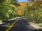 Beautiful Fall Drive on a Winding Road