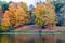 Beautiful Fall Foliage in Cincinnati, Ohio