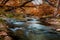 Beautiful Fall Foliage on the Silky Guadalupe River, Texas.