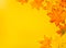 Beautiful fall maple leaves on yellow background. Autumn mockup, copy space.