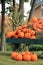 Beautiful Fall scene of pumpkins on wagon