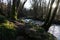 The Beautiful Falls of Clyde, Scotland