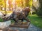 Beautiful famous bronze cat Pantyusha or Panteleimon monument near Golden Gate in Kiev