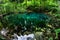 Beautiful and famous emerald colored lake Ochiul Beiului in the woods, forest