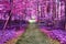 Beautiful fantasy infrared views into a mystery purple forest