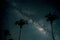 Beautiful fantasy of palm tree at tropical beach with milky way stars in night skies background.