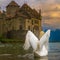 Beautiful Fantasy photos of Swan and castle