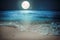 Beautiful fantasy tropical beach with star and full moon in night skies