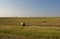 Beautiful Farm Landscape with Rolled Hay Bales