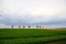 Beautiful farmland view during cloudy summer evening in Fairy tale hill, Hokkaido, Japan.