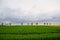 Beautiful farmland view in Fairy tale Hill, Hokkaido, Japan during cloudy summer evening.