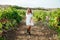 Beautiful fashionable woman in white dresses vineyards harvest