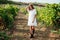 Beautiful fashionable woman in white dresses vineyards harvest