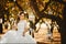 Beautiful and fashionable young bride with trendy hairstyle in stylish wedding lace dress sits on the hanging swings