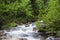 Beautiful fast-flowing river in the Tatra mountains among the many trees. River in the forest, nature