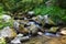 Beautiful fast mountain stream. Mountain river close-up