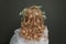 Beautiful female back with long blonde curly hair. Perfect wedding hairdo