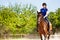 Beautiful female equestrian sits astride a horse