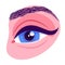 Beautiful female eye. Brow extension result concept.
