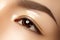 Beautiful female eye with clean skin, daily fashion makeup. Asian model face. Perfect shape of eyebrow