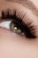 Beautiful female eye with extreme long eyelashes, black liner makeup. Perfect make-up, long lashes. Closeup fashion eyes