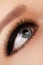 Beautiful female eye with extreme long eyelashes, black liner makeup. Perfect make-up, long lashes. Closeup fashion eyes