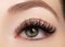 Beautiful female eye with extreme long eyelashes, black liner makeup. Perfect make-up, long lashes. Closeup fashion eyes