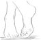 Beautiful female feet. Hand drawn of realistic human feet. Healthy foot