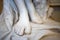 beautiful female fingers of a white marble statue