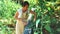 a beautiful female gardener in an apron harvests fruits in her garden.