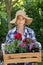 Beautiful female gardener wearing straw hat holding wooden crate full of flowers.