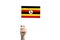 Beautiful female hand holding Uganda flag, isolated on white background