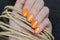 Beautiful female hand with orange nail design.