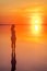 Beautiful female model open arms under sunrise at seaside. Calm water of salt lake Elton reflects woman silhouette. Sun goes