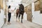 Beautiful female rider grooming horse with cleaning tools