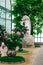 Beautiful female statue in colorful blooming orangery. Royal Greenhouses of Laeken in Belgium