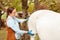 beautiful female vet inspects a white horse. Love, medicine, pet care, trust, happiness, health. back, withers. Illness