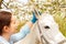 beautiful female vet inspects a white horse. Love, medicine, pet care, trust, happiness, health. A girl examines the