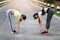 Beautiful females athlete stretches the body before practicing