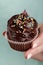 Beautiful feminine hand holding tasty appetizing chocolate cupcake. Blue Background. Closeup.