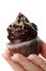 Beautiful feminine hand holding tasty appetizing chocolate cupcake. White Isolated Background. Closeup.